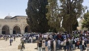 40 ألف مصل يؤدون الجمعة في الأقصى