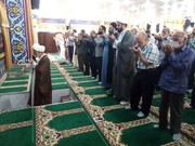 تصاویر/ اقامه نماز جمعه بوشهر