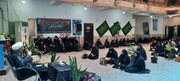 نشست جوانی جمعیت در برازجان برگزار شد