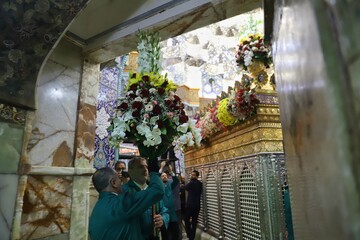 آیا می توان حضرت معصومه (س) را دارای مقام عصمت دانست؟