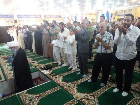 تصاویر/ نماز جمعه بوشهر