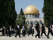 مئات المستوطنين يقتحمون المسجد الاقصى بذريعة "عيد الاسابيع"