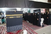 تصاویر/ حضور خدام امام رضا(ع) در جمع حجاج جنوب استان بوشهر