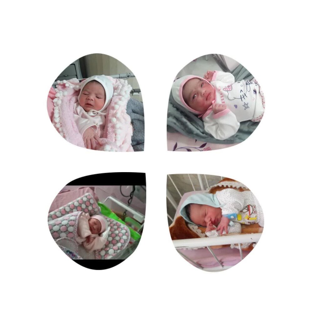 روایتی از احیای سنت واسطهگری ازدواج از جوار امام رئوف تا میزبانی مساجد از سفره عقد جوانان