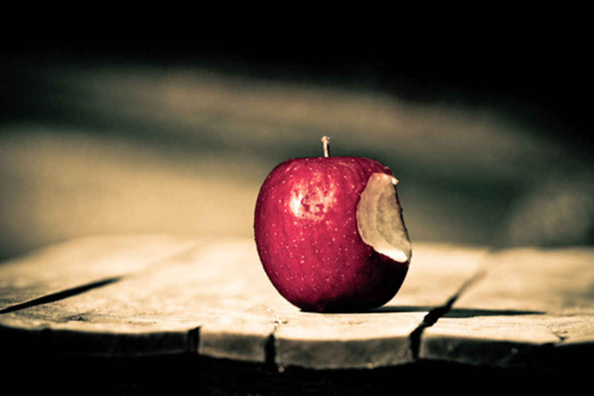 Restez loin de ce genre de joie