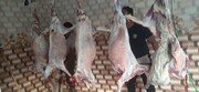 توزیع بیش از یک تُن گوشت قرمز در ۳ استان