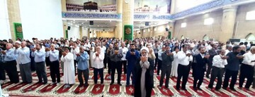 فیلم/ اقامه نماز عید قربان در کنگان