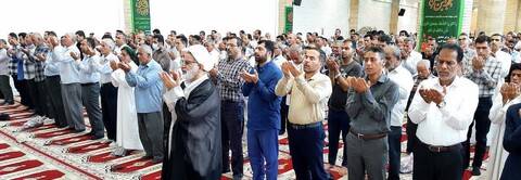 تصاویر/ نماز عید قربان در کنگان