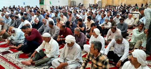 تصاویر/ نماز عید قربان در کنگان