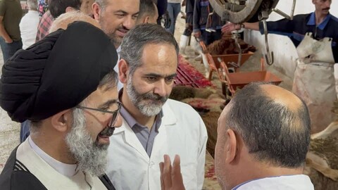 تصاویر/بازدید امام جمعه فردیس از مرکز ذبح بهداشتی دام
