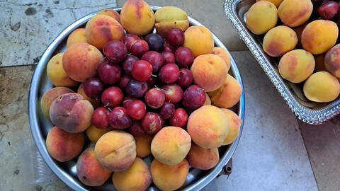 تصاویر/ پارس آباد مغان غرق در شادی عید غدیر