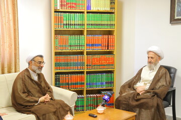 تصاویر / دیدار دبیر شورای عالی انقلاب فرهنگی با آیت الله العظمی سبحانی
