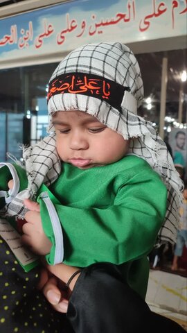 تصاویر/ همایش شیرخوارگان حسینی در قشم