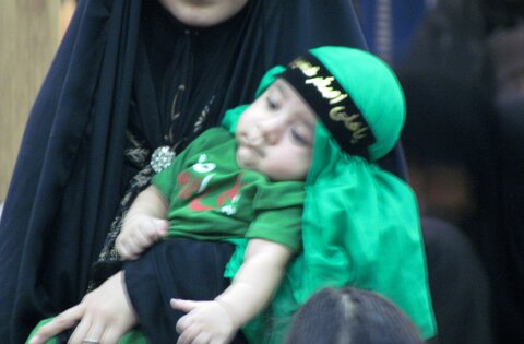 تصاویر/ همایش شیرخوارگان حسینی در دیّر