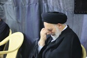 تصاویر/ عزاداری حسینی در حسینیه فاطمیه نجف