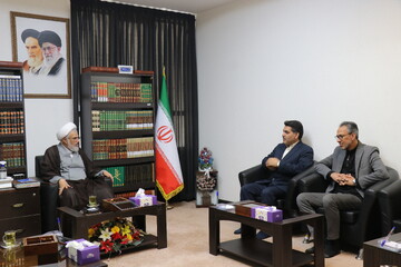 تصاویر/ دیدار مدیرکل امور مالیاتی استان هرمزگان با نماینده ولی فقیه