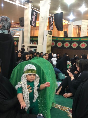 مراسم شیرخواران مهدوی در بوشهر