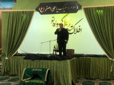 مراسم شیرخواران مهدوی در بوشهر