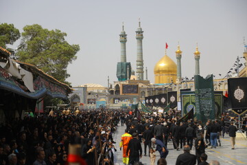 تصاویر / عزاداری مردم قم در روز عاشورای حسینی