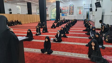 تصاویر/ کارگاه تخصصی آموزش دختران رضوی محلات امام رضایی هرمزگان