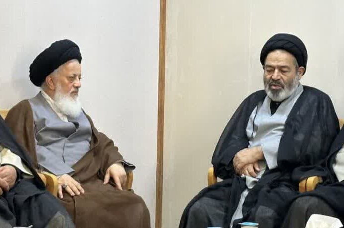 دیدار نماینده ولیفقیه در امور حج و زیارت با آیتالله حسینی در عراق
