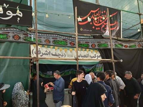 تصاویر :خدمت رسانی موکب العباس کاشان به زوار در شهر نجف