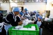 تقديم آلاف وجبات الطعام لزائري أربعينية الإمام الحسين (ع)