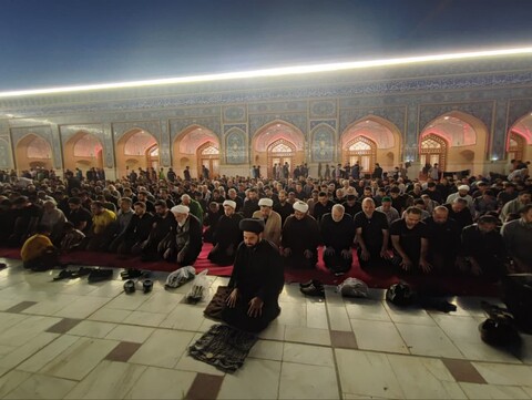 تصاویر/ حضور مبلغین اربعین حسینی در شهر نجف
