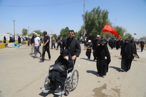 تصاویر/ حرکت زائرین حسینی از نجف به سمت کربلا