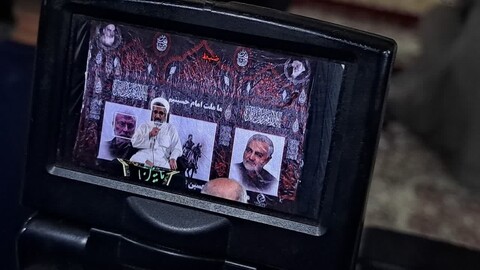 تصاویر/ مراسم گرامیداشت شهادت رئیسعلی دلواری در نجف