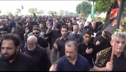 فیلم| پیاده روی جاماندگان اربعین حسینی در بوشهر