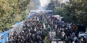 عاشقان حضرت ارباب به خیابان ها آمدند / دنیا نظاره گر «حب الحسین یجمعنا» در ام القرای جهان اسلام + فیلم