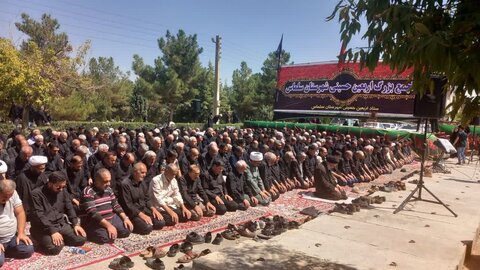 تصاویر/ تجمع بزرگ اربعینی در سلماس