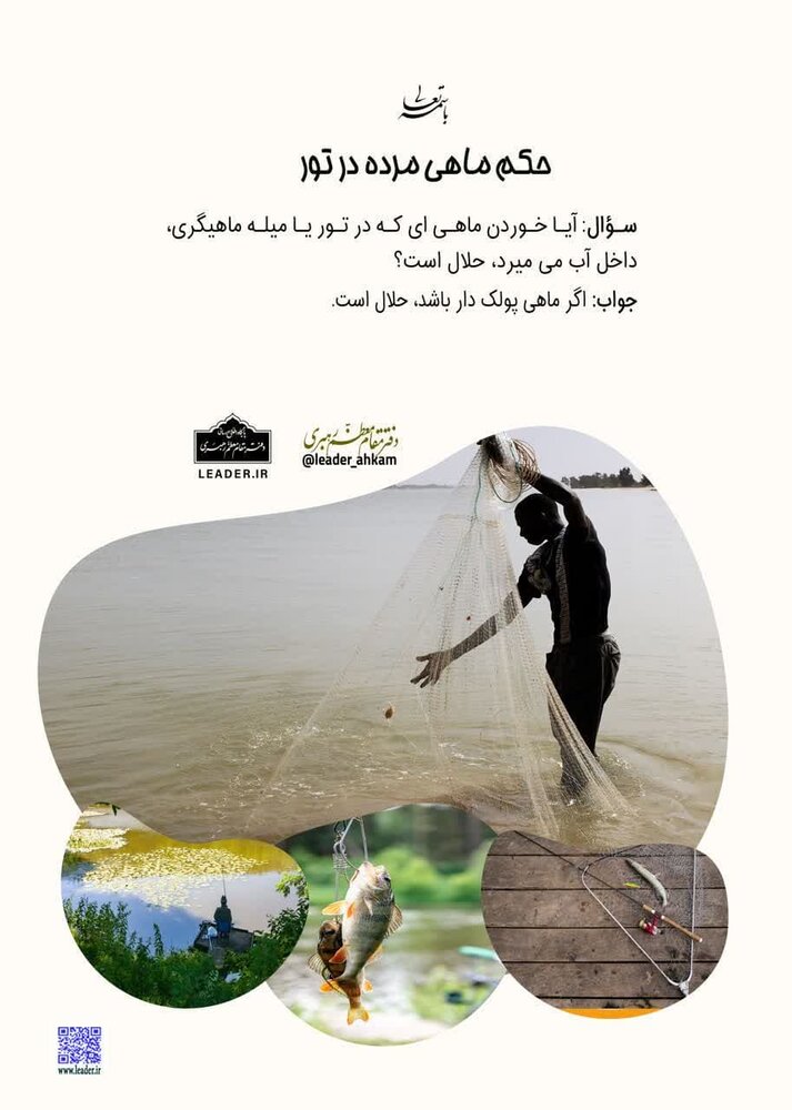 احکام شرعی | حکم ماهی مُرده در تور