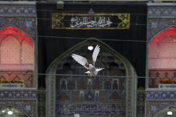 تصاویر/ حال و هوای حرم رضوی در شب رحلت حضرت رسول (ص) و شهادت امام حسن (ع)