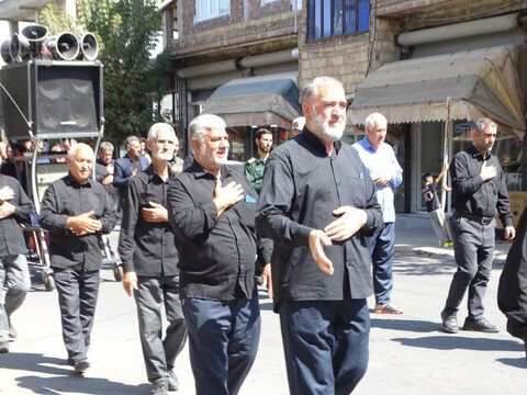 تصاویر/ دسته عزاداری به مناسبت شهادت امام رضا علیه السلام درشهرستان چهاربرج