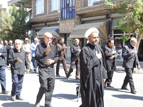 تصاویر/ دسته عزاداری به مناسبت شهادت امام رضا علیه السلام درشهرستان چهاربرج