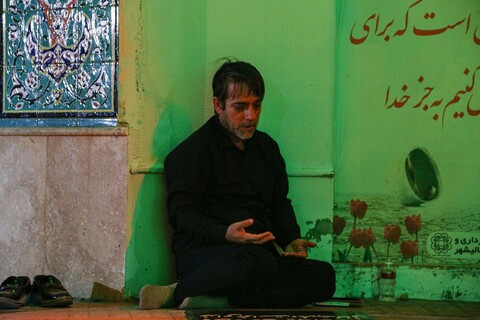 مواکبی که در بوشهر به عشق امام رضا(ع) پا گرفتند