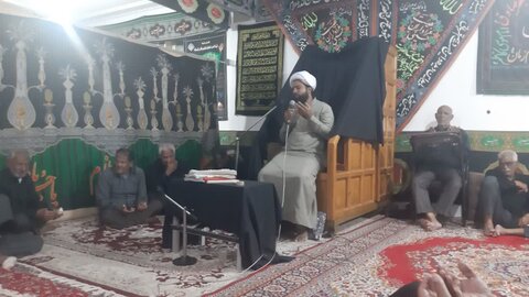 تصاویر / مراسم عزاداران رضوی در شهرستان قشم