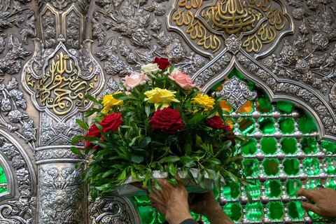 تصاویر/ گل آرایی ضریح مطهر امام حسین علیه السلام به مناسبت آغاز ماه ربیع الاول