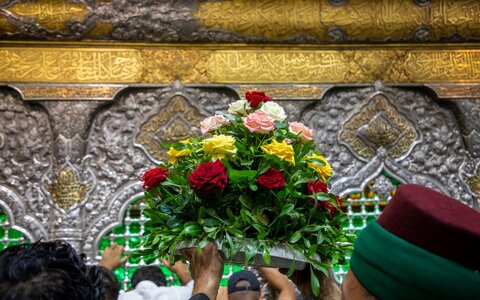 بالصور/ تزيين مرقد الإمام الحسين (ع) بالزهور تزامنا مع رفع مظاهر الحزن بانتهاء شهر صفر الخير