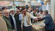 فیلم| افتتاح نمایشگاه فتح قله ها ویژه دفاع مقدس در بوشهر