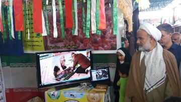 تصاویر/ نمایشگاه طرح اسوه به مناسبت هفته دفاع مقدس در برازجان