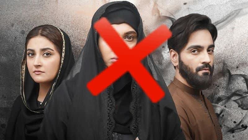 پاکستان میں شیعہ مذہبی مقدسات کی توہین ناقابل برداشت اور نہایت شرمناک: مجمع علماء و واعظین پوروانچل