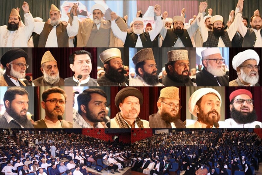 ہم متحد ہو کر ہی اسلام دشمن قوتوں کی سازشوں کو ناکام بنا سکتے ہیں، علامہ راجہ ناصر عباس