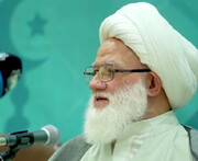 آية الله اليعقوبي يثني على دور المفارز الطبية في خدمة زوار الأربعين