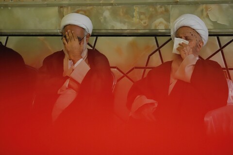 تصاویر/ مراسم گرامیداشت شهدای غزه از سوی حضرت آیت الله مکارم شیرازی