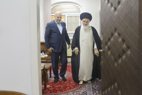 تصاویر / دیدار رئیس مجلس شورای اسلامی با آیت الله حسینی بوشهری