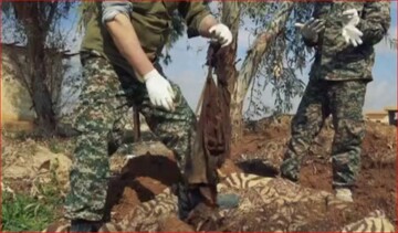 فیلم | تصاویری از تفحص پیکرهای مطهر ۸ شهید مدافع حرم  در سوریه