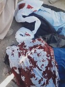 بیانیه جامعه روحانیت امامیه هرات در محکومیت حملات تروریستی